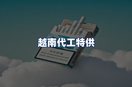 越南代工特供